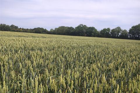 Land for sale, Mickfield, Stowmarket, Suffolk, IP14