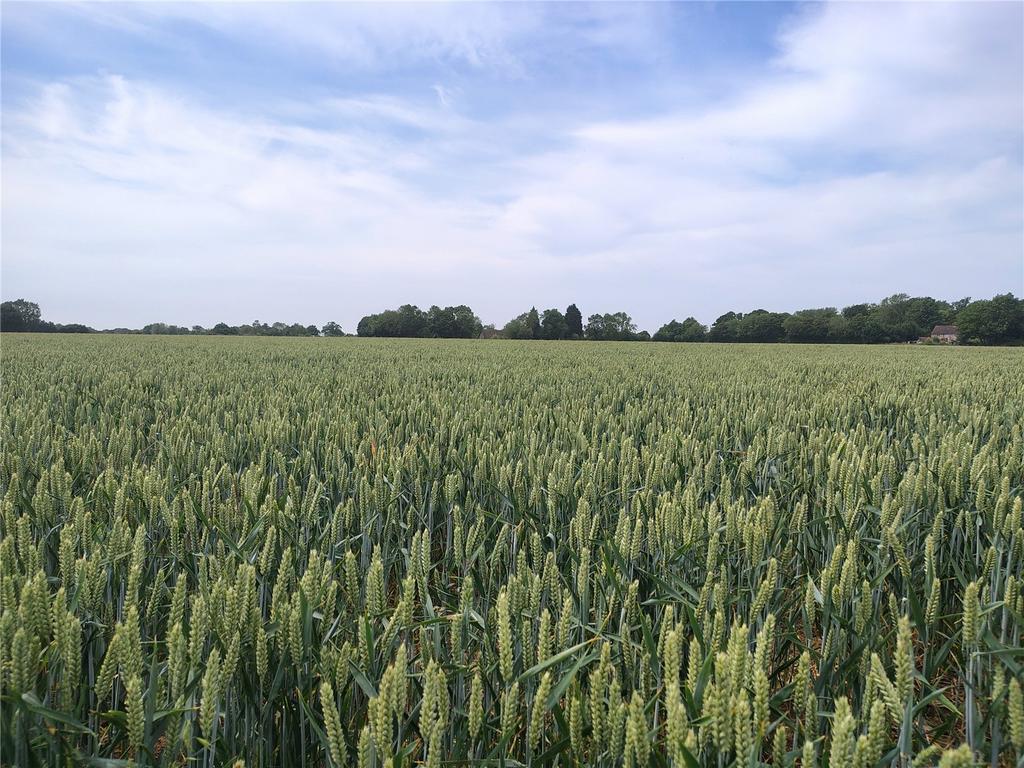 Picture No. 05