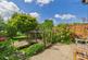 South-facing rear garden with bridge and small...