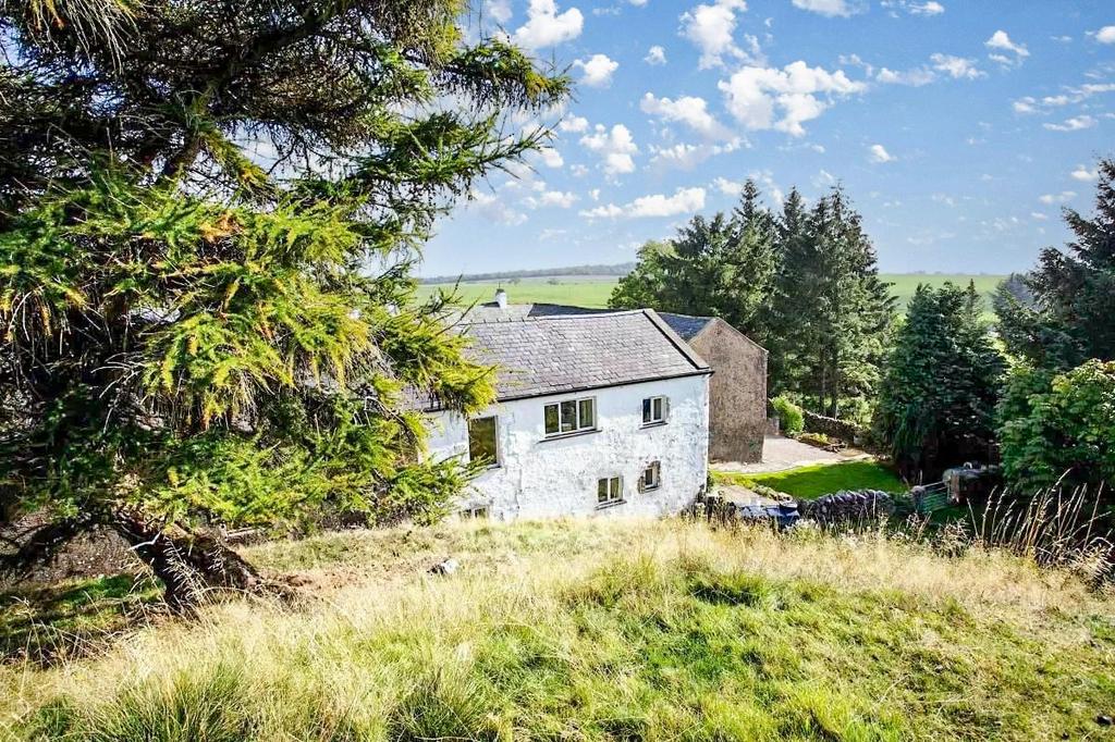 Rear of the Property