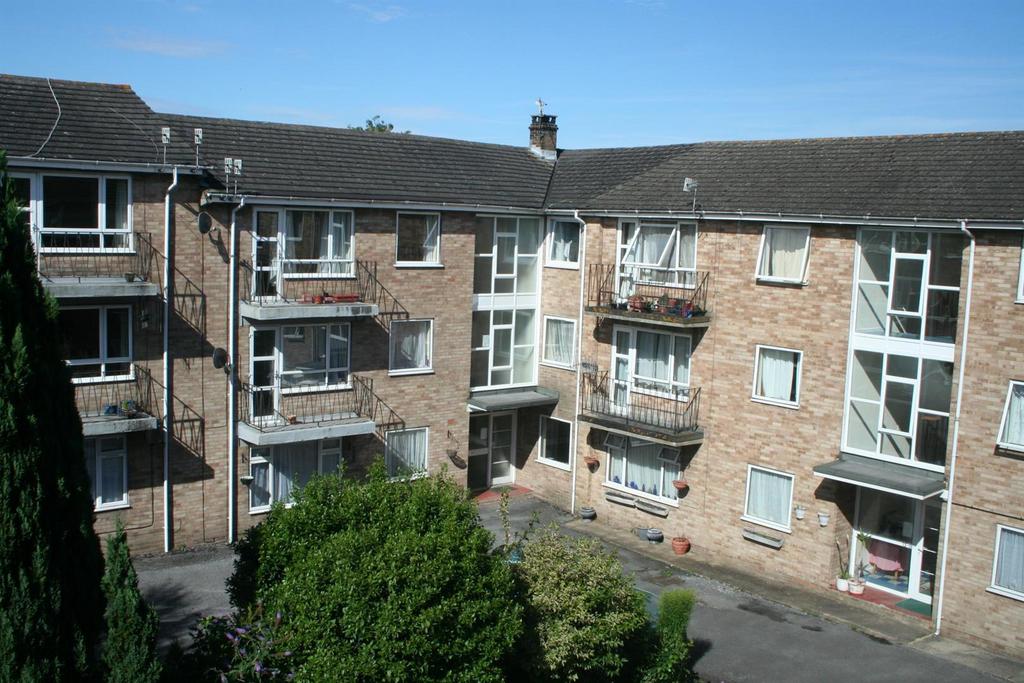 Img 0728.jpg