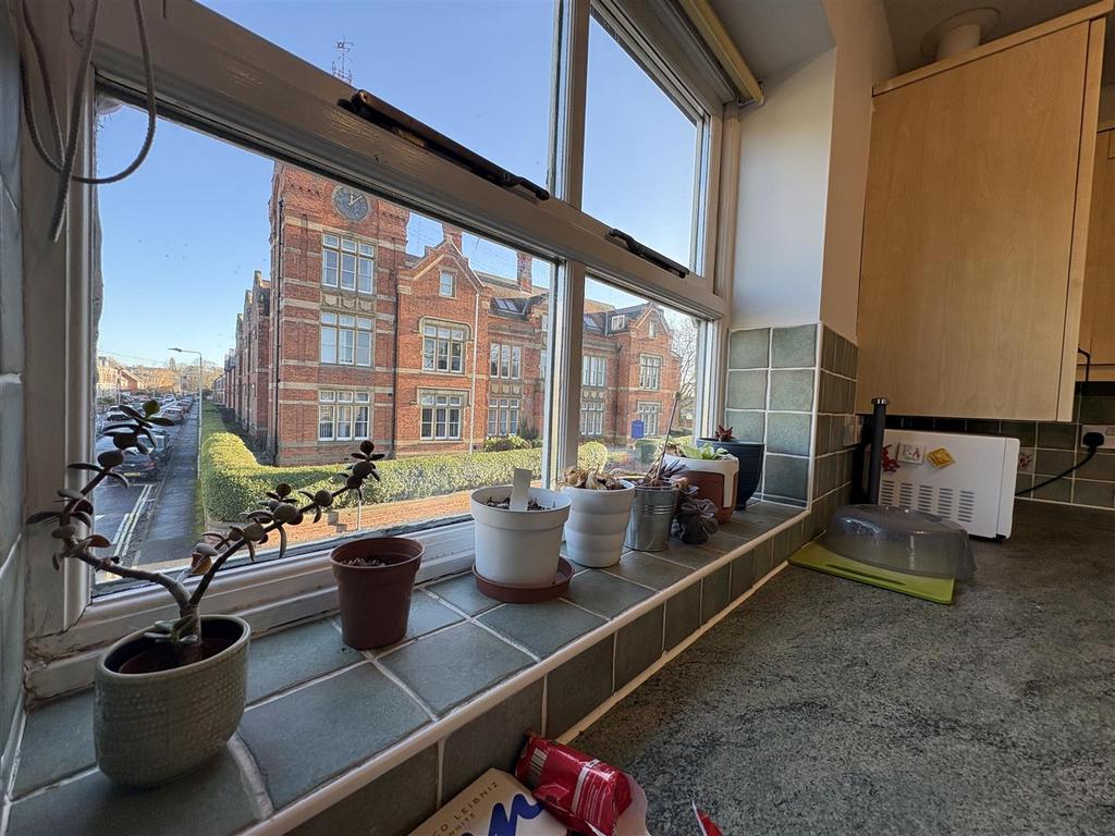Window view.jpeg