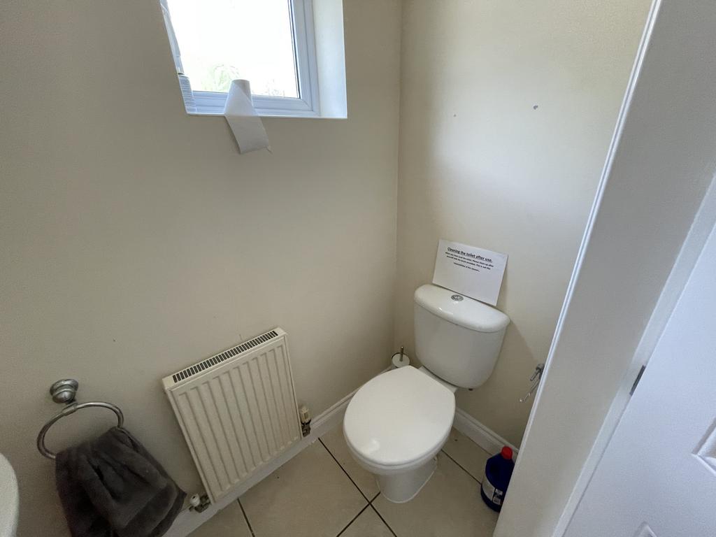 Image6