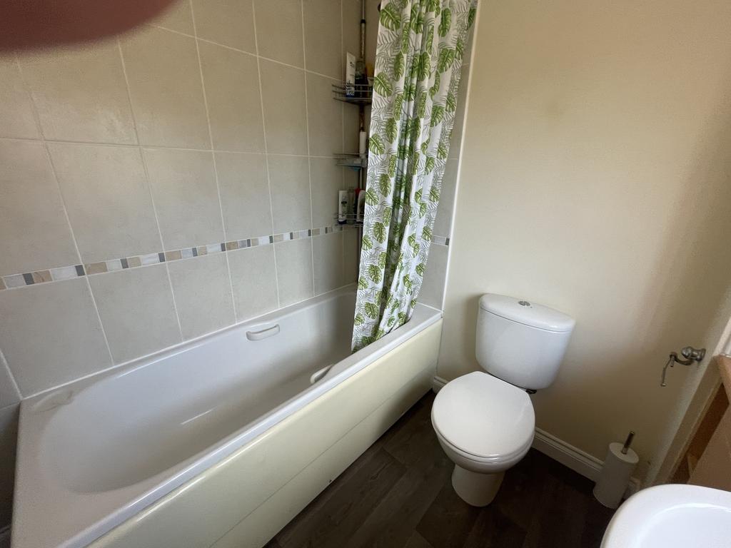 Image4