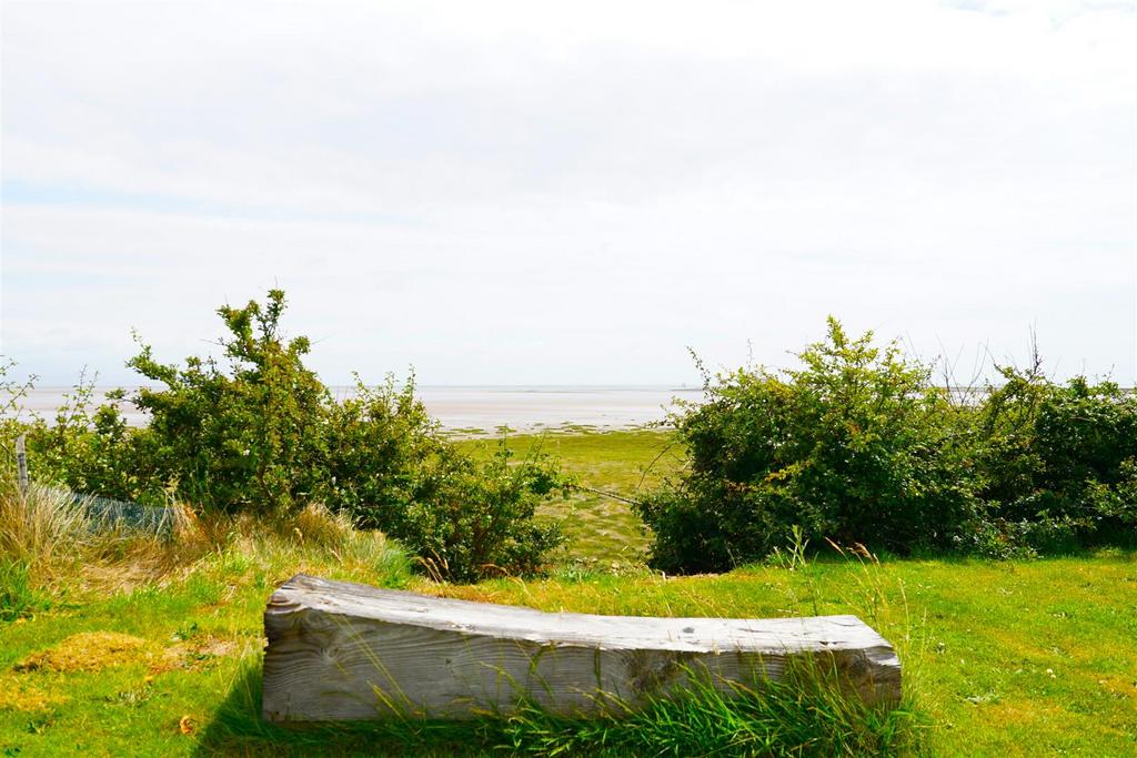 Dsc08545.jpg