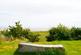 Dsc08545.jpg