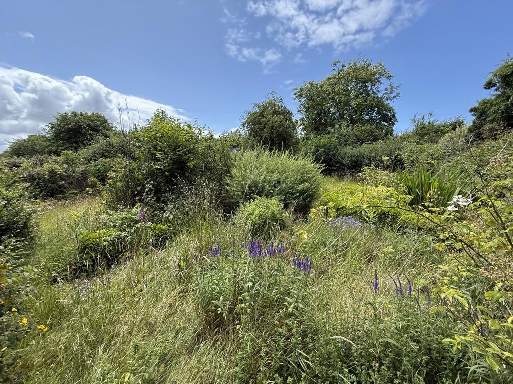 The Gardens