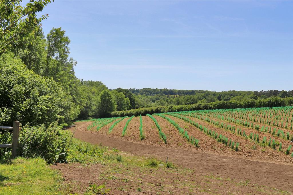 Planting Land