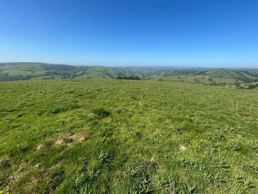 Whats App Image 2025-06-12 at 11.30.44 (2).jpeg