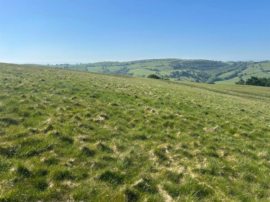 Whats App Image 2025-06-12 at 11.30.45 (3).jpeg