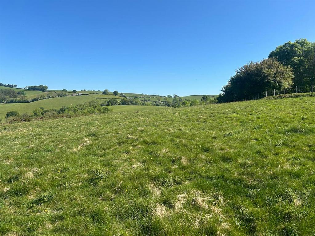 Whats App Image 2025-06-12 at 11.32.56.jpeg