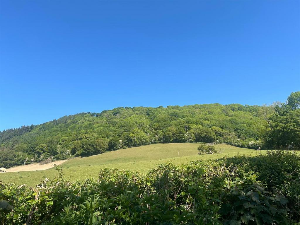 Whats App Image 2025-06-12 at 11.32.56 (1).jpeg