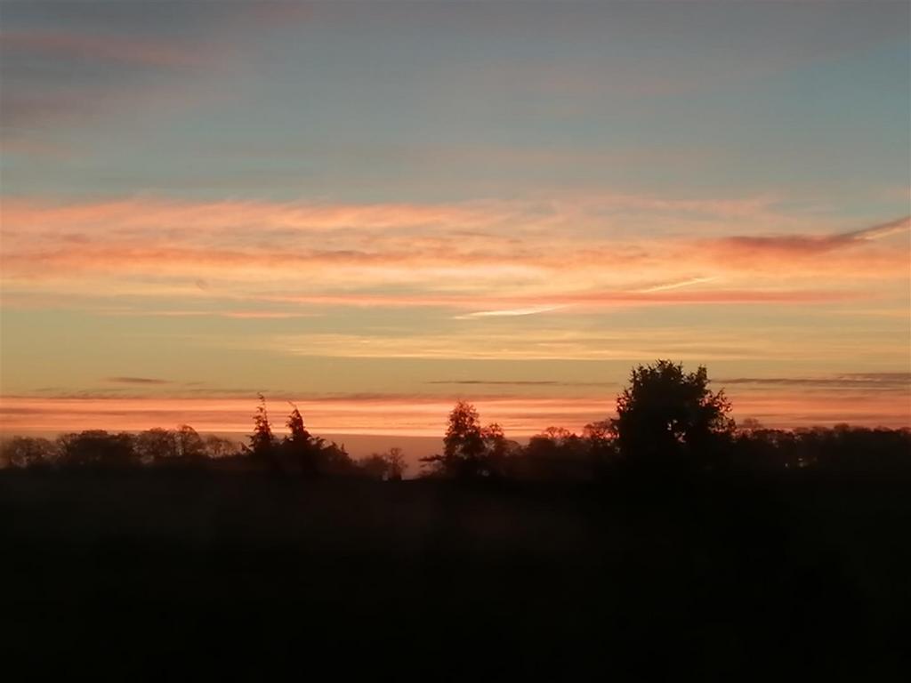 IMG 20201201 074359.jpg