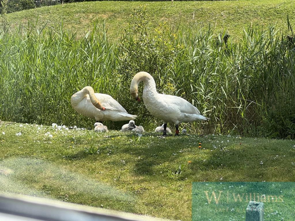 Locals