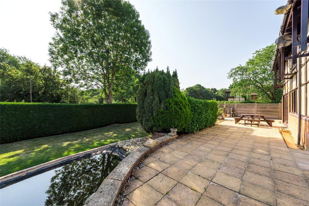 Patio Area