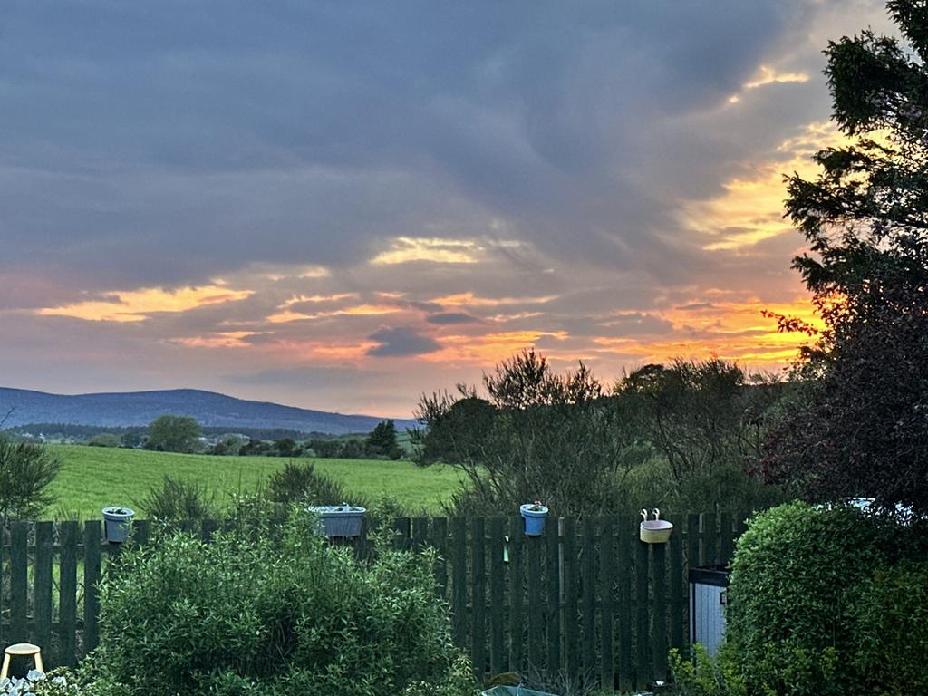 Evening view