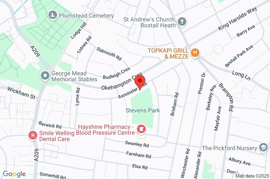 Google Maps Image