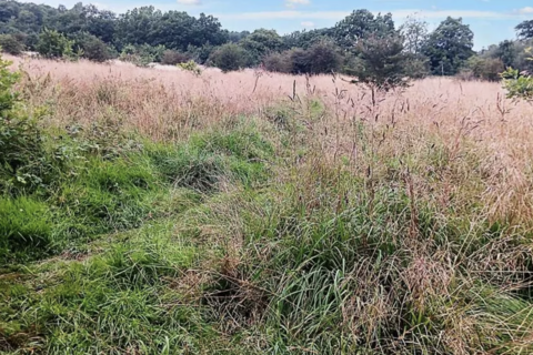 Land for sale, Gunner Lane, , Rubery, Rednal  B45
