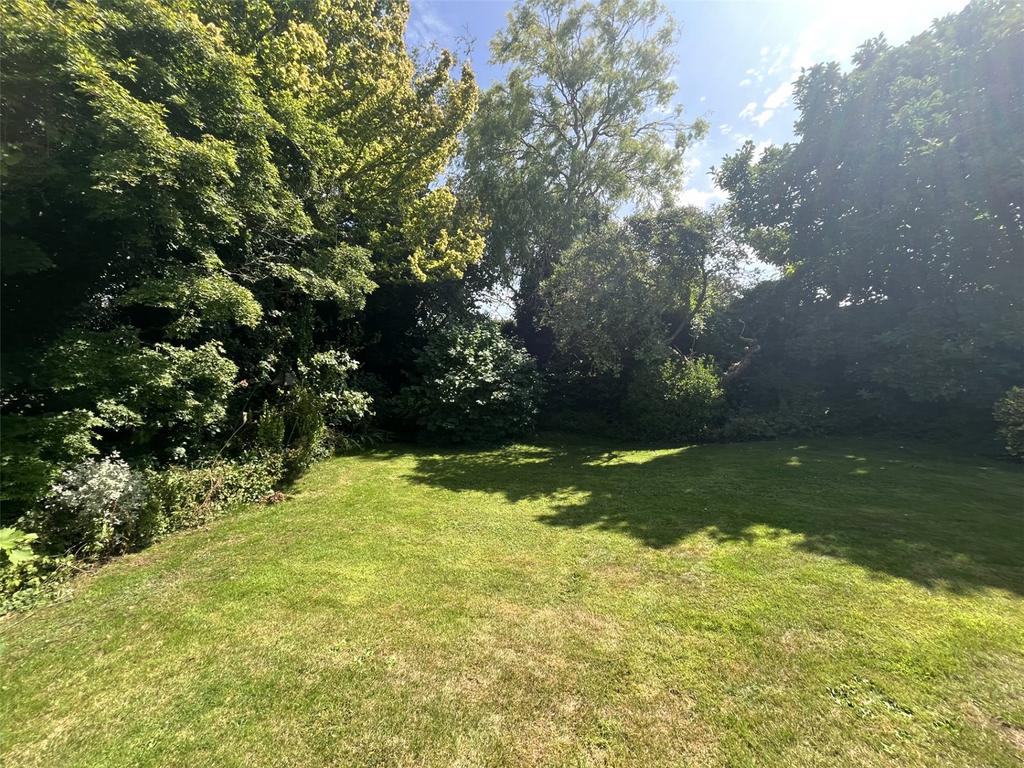 Rear Gardens No. 24