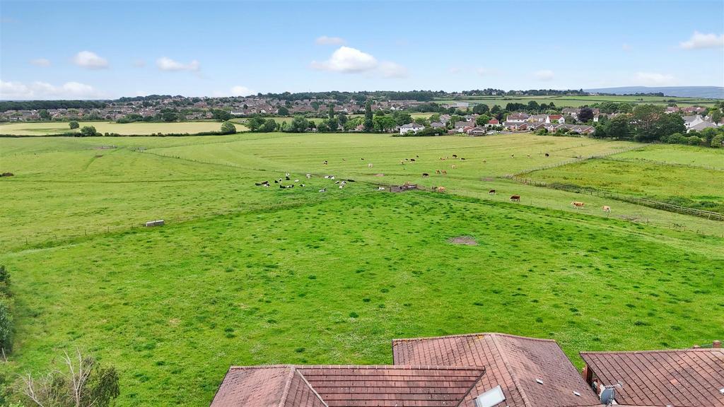 Dji 20250622094232 0870 d.jpg