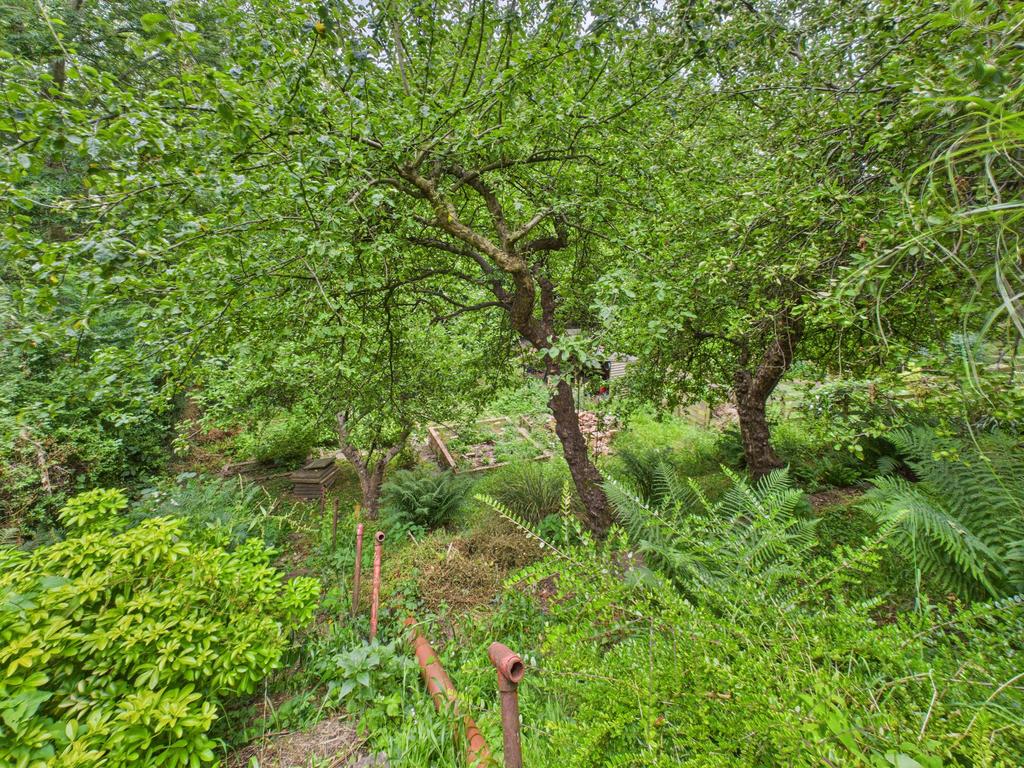 Lower Garden
