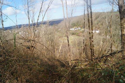 Woodland for sale, Drefelin, Drefach Felindre SA44