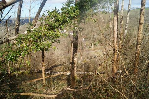 Woodland for sale, Drefelin, Drefach Felindre SA44