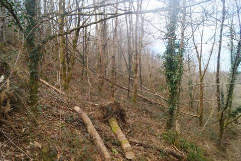 Woodland for sale, Drefelin, Drefach Felindre SA44