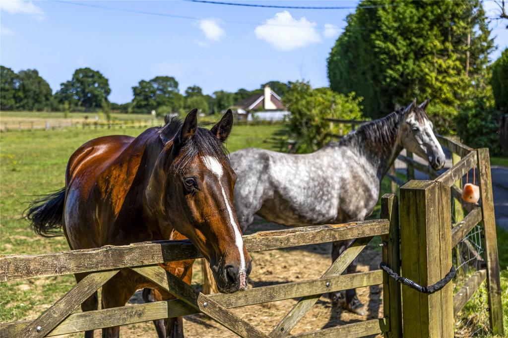 Paddocks
