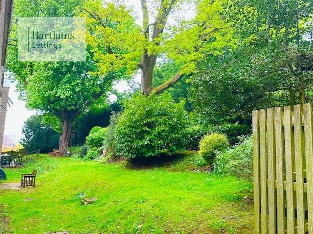 Rear Gardens