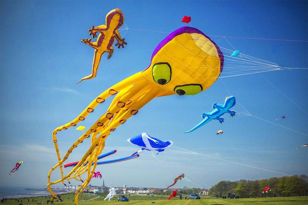 Kite Festival
