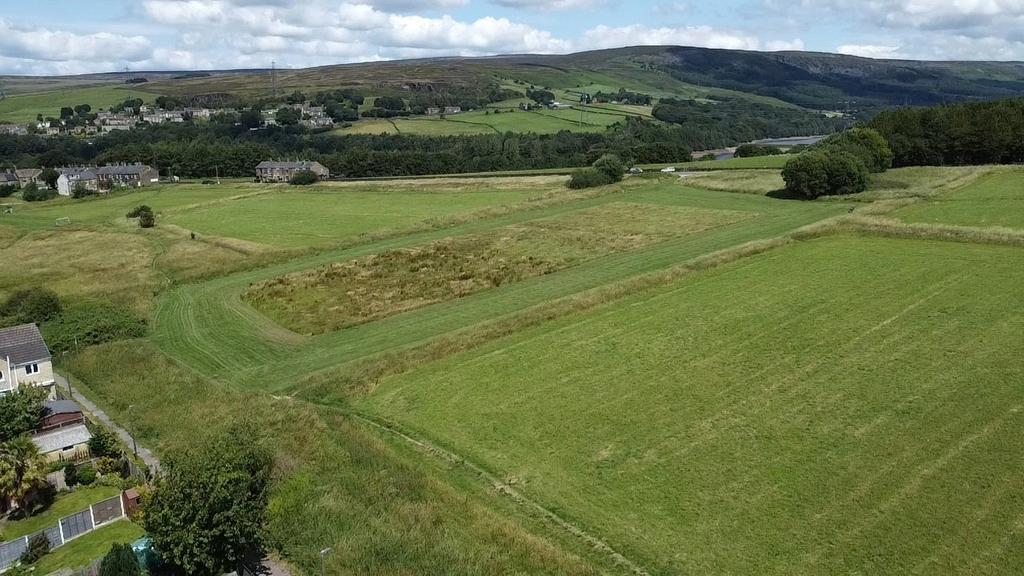 Field