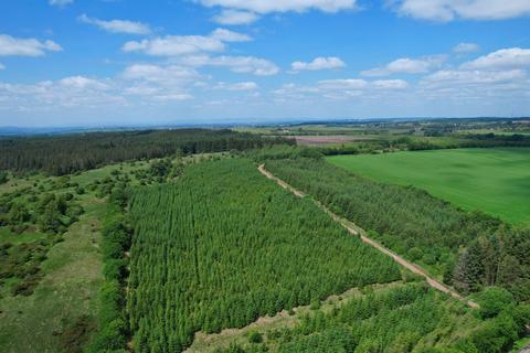 undefined, Drumsmuir Wood , Near Carluke, South Lanarkshire ML8