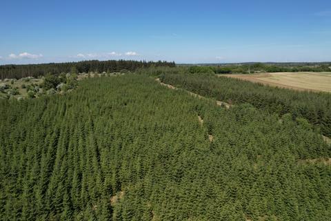 undefined, Drumsmuir Wood , Near Carluke, South Lanarkshire ML8