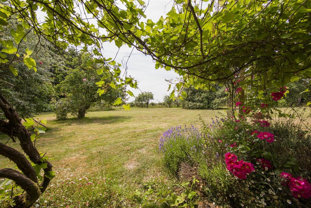 Ornamental Garden