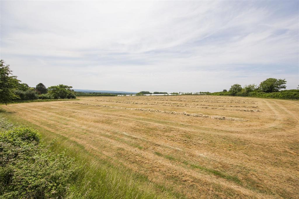 Farmland Views