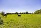 Additional image 27 of Widmerpool Lane, Keyworth NG12