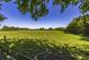 Additional image 28 of Widmerpool Lane, Keyworth NG12