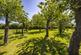 Additional image 29 of Widmerpool Lane, Keyworth NG12