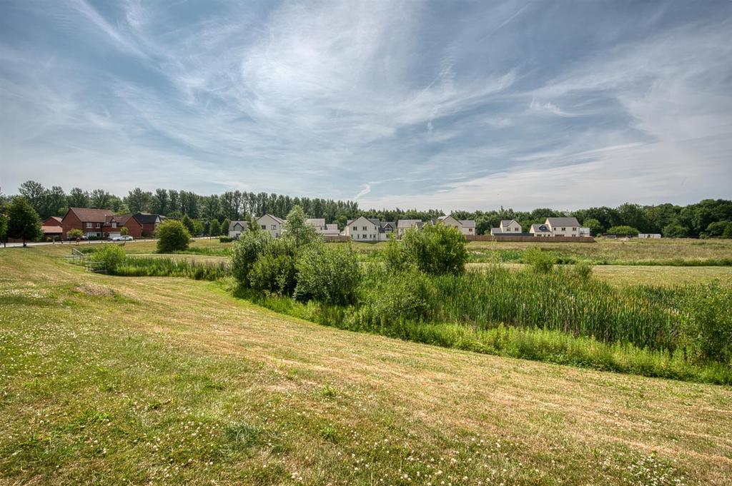 Meadow opposite.jpg