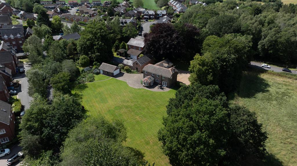 DJI 20250626152023 0166 D.jpg