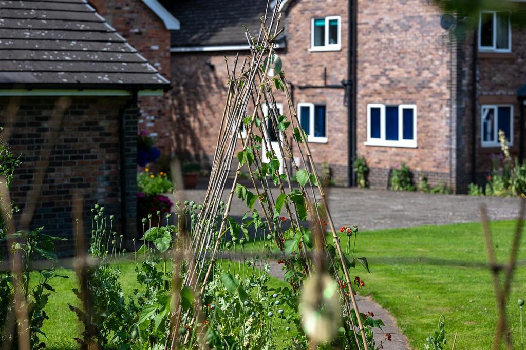DSC5649.jpg