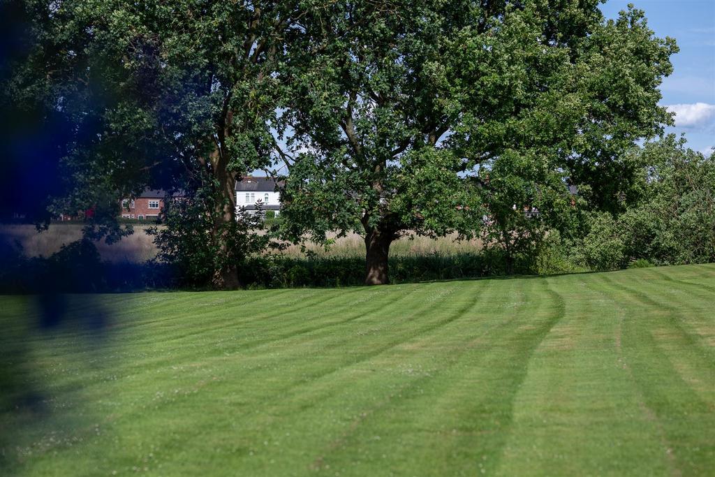  DSC5642.jpg