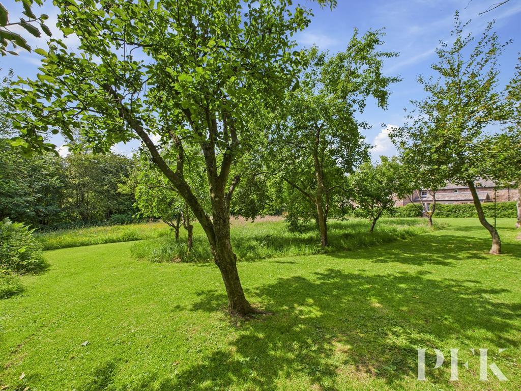 Orchard