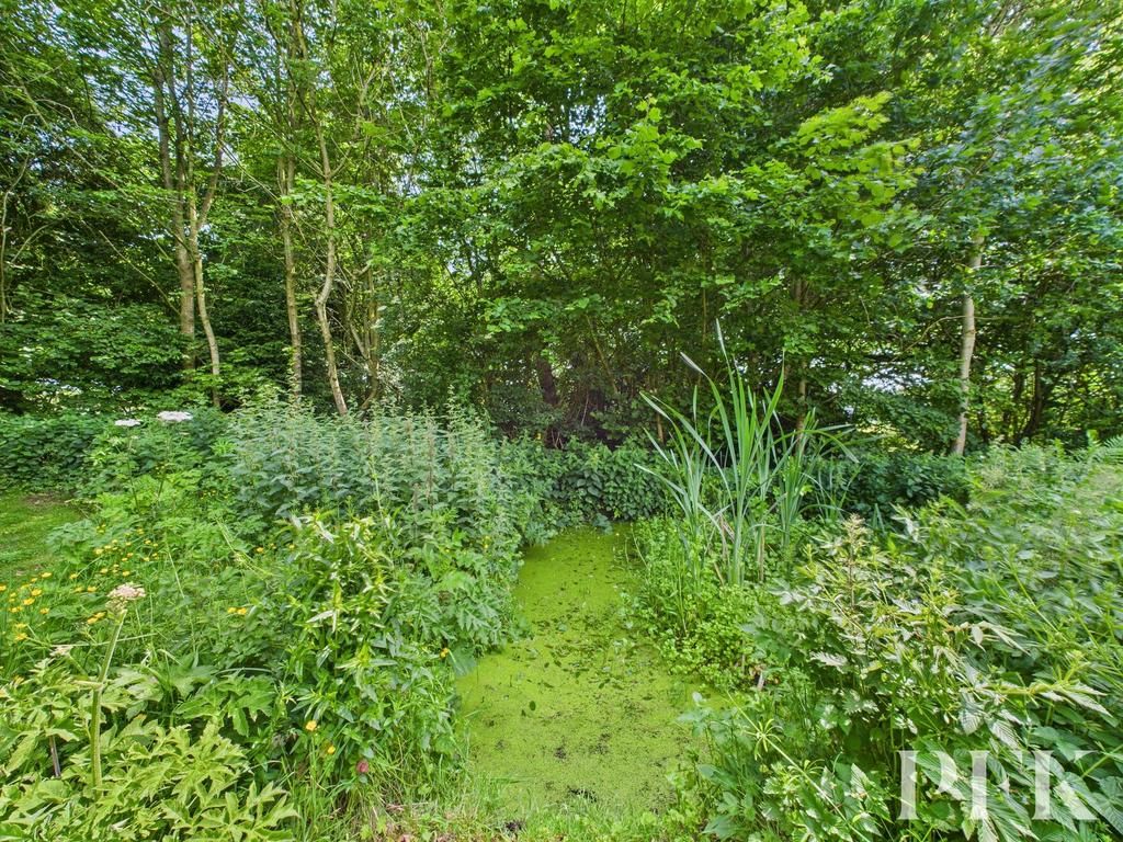 Pond