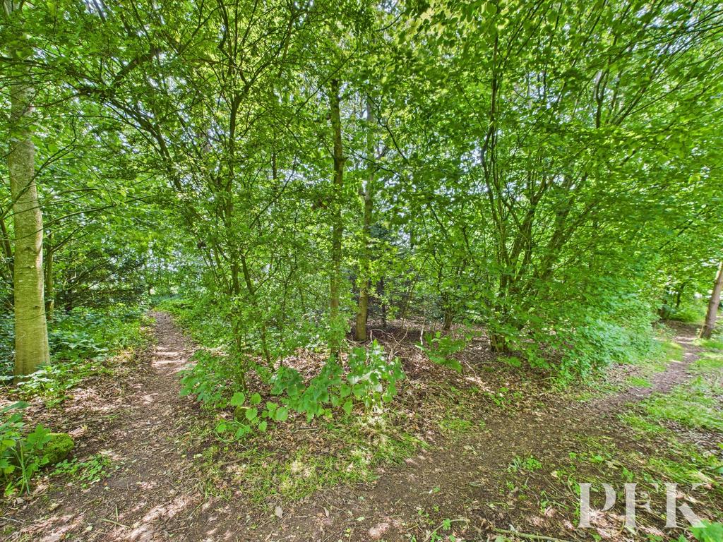Woodland