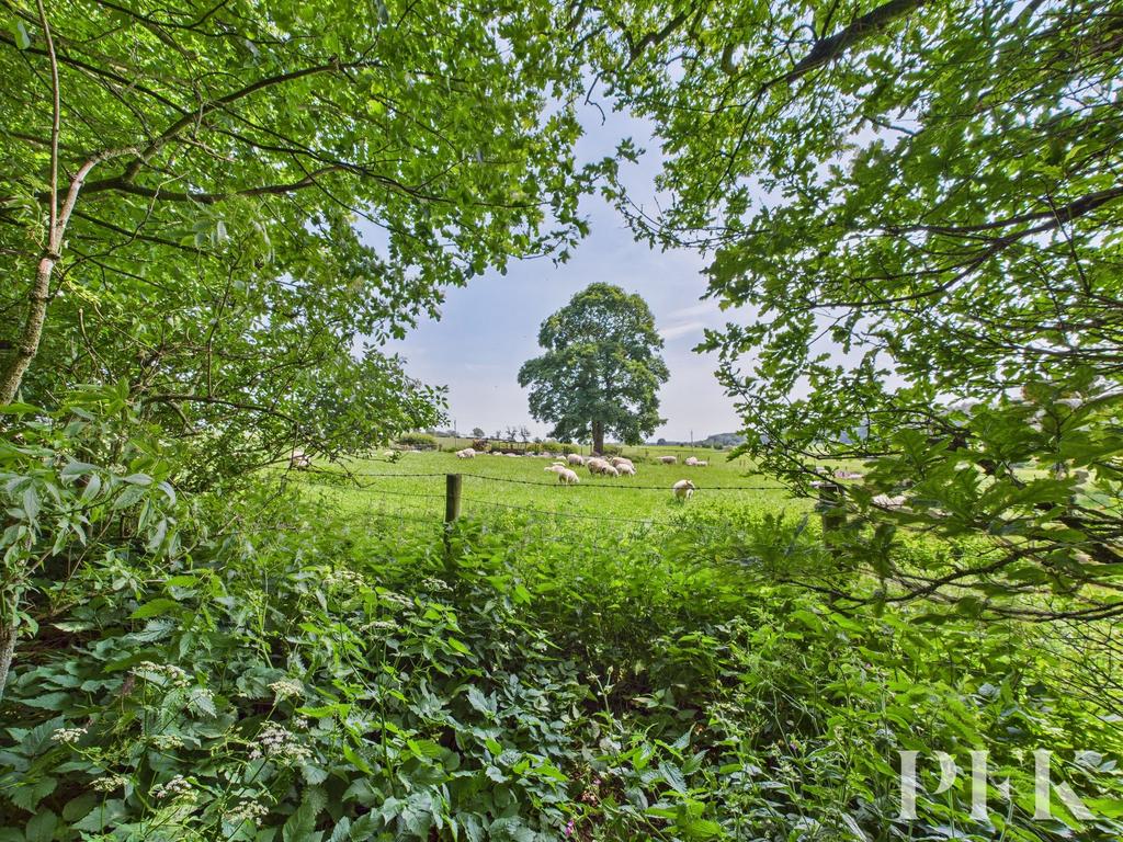 View from Woodland