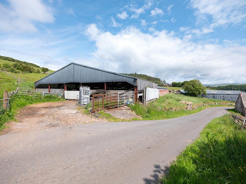 Cattle Court