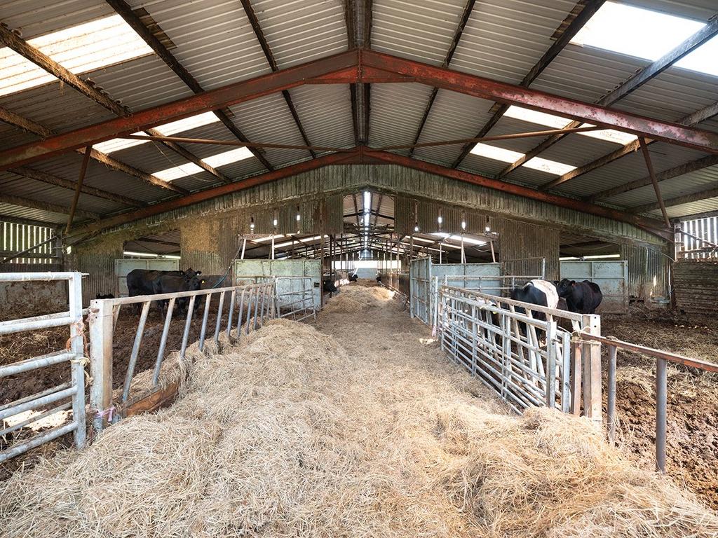 Cattle Court
