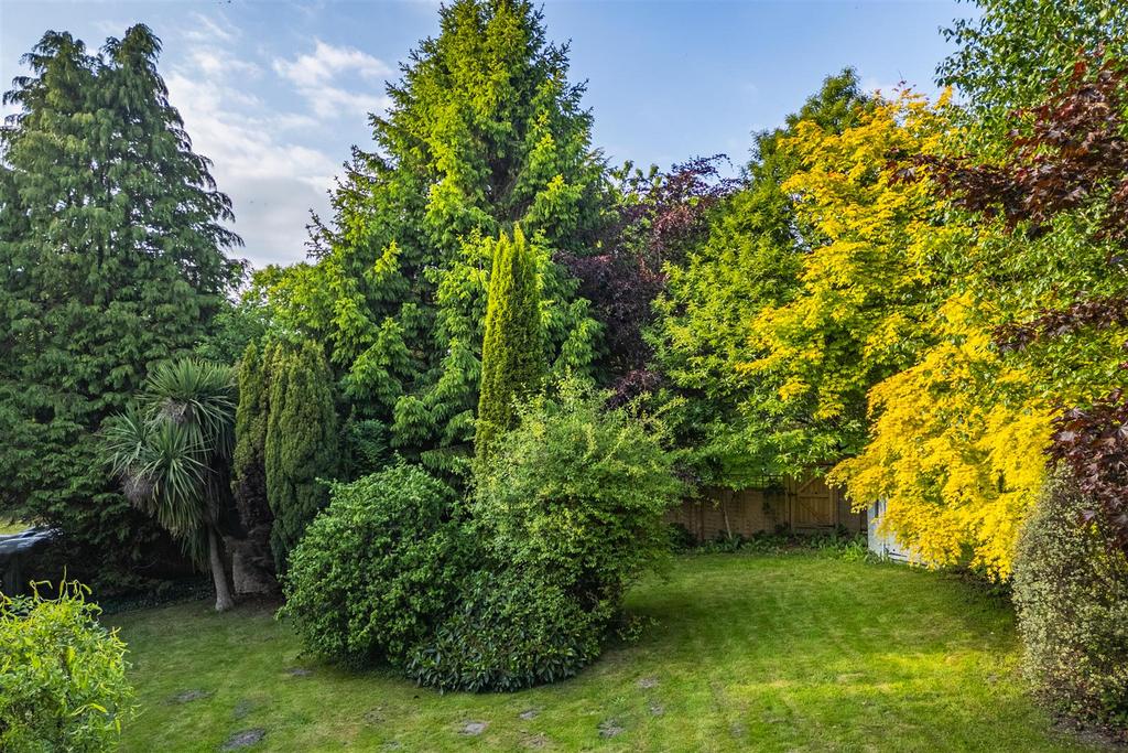 DJI 0918-HDR.jpg